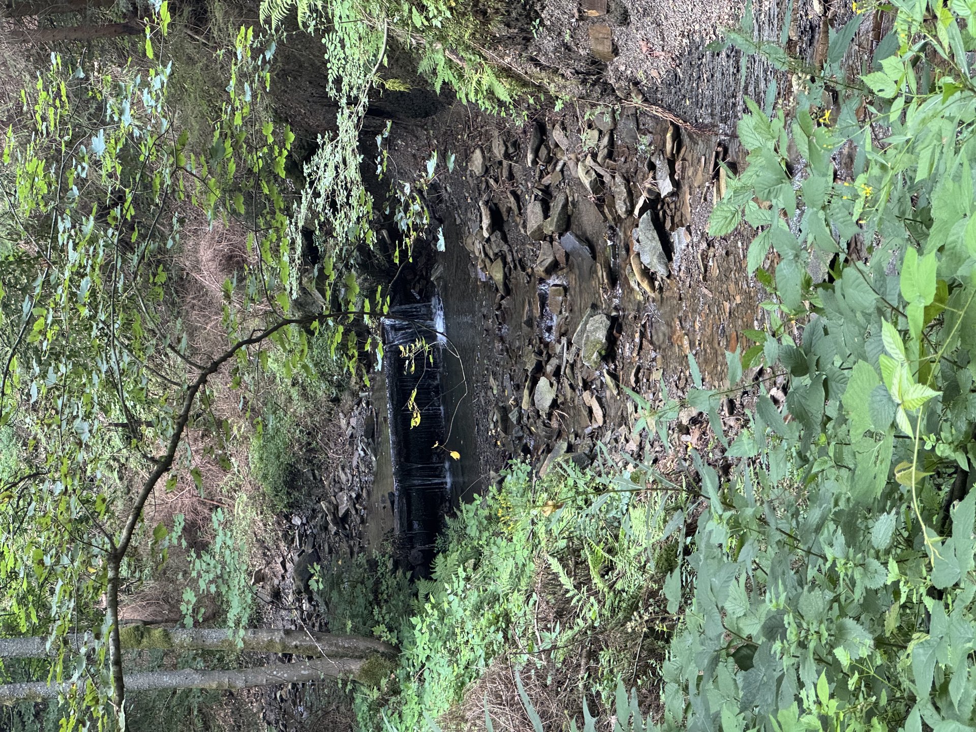 The river winding through Masaryk Valley